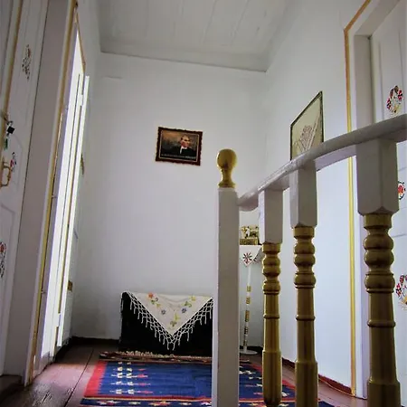 1881 Ayvalı